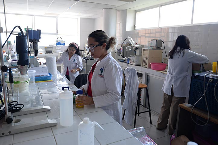 La colaboración de las y los universitarios ha sido fundamental para el desarrollo de las investigaciones, comentó la entrevistada 