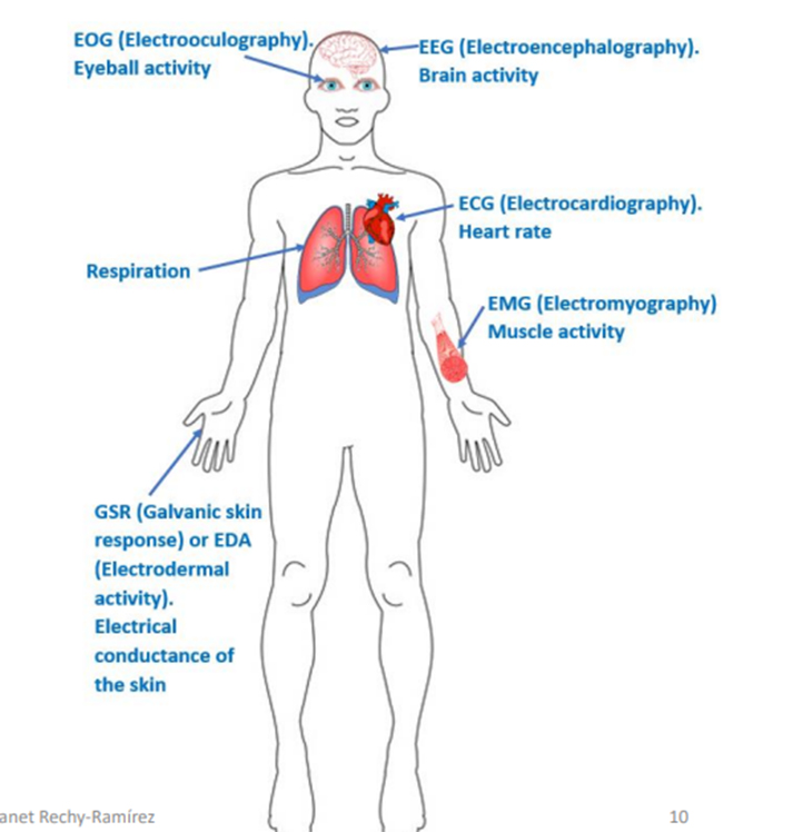 Bioseñales utilizadas en la interacción humano-computadora 