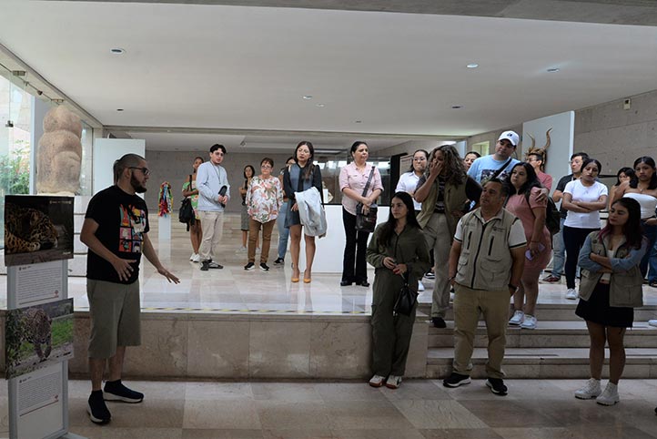 Los visitantes podrán formar parte de una experiencia visual que recuerda que el respeto a las demás especies también es una forma de habitar el mundo 