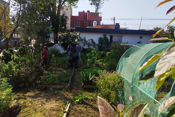 Realiza un proyecto con mujeres que trabajan en huertos comunitarios ubicados en distintos puntos de Xalapa 