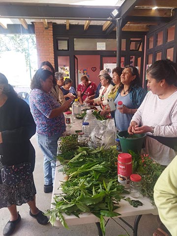 El objetivo del proyecto es fortalecer el autocuidado, rescatar saberes tradicionales y promover dietas saludables 
