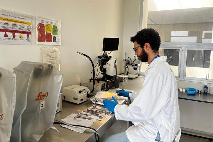 En el Iice, docentes y estudiantes realizan investigaciones de alto impacto social 