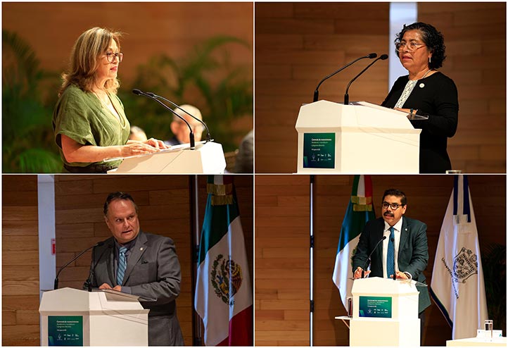 Titulares de las Áreas Académicas a las que pertenecen los PE acreditados 