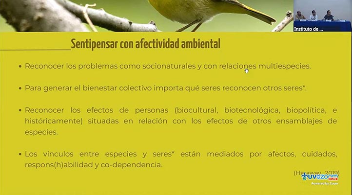 Sentipensar, reconocimiento de problemas con miras al bienestar colectivo 