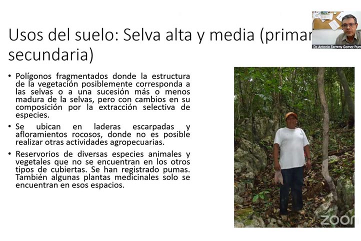 El cambio de uso de suelos ha sido arbitrario y con riesgo de eliminación de especies nativas 