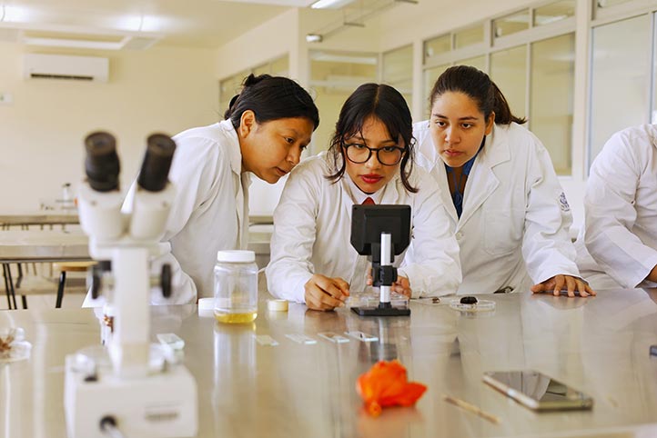 UV atendió 100% de solicitudes de beca de nuevo ingreso a posgrados   