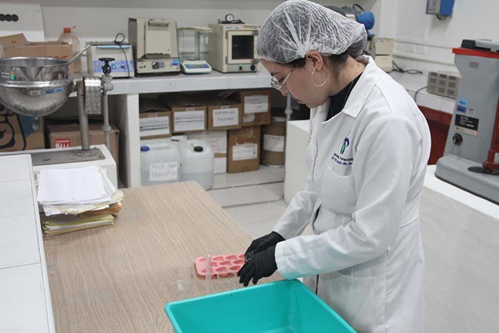 La Universidad Veracruzana reafirma su compromiso con el fortalecimiento académico y el apoyo integral a sus estudiantes 