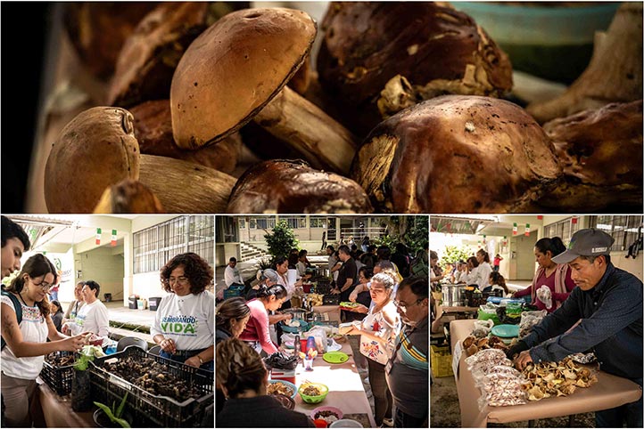 Estudiantes, académicos, personal administrativo y público en general acudieron a consumir los hongos y otros productos 