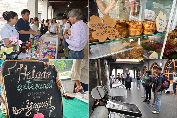 En la región Xalapa, se llevaron a cabo actividades como talleres, exposiciones, conferencias y venta de productos 