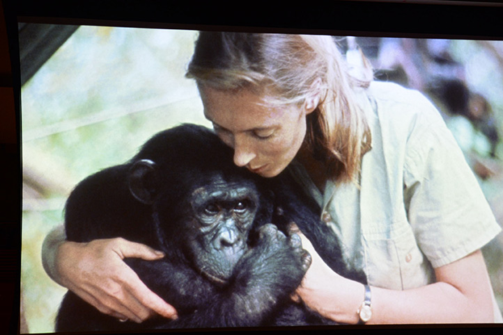 A su vez, se proyectó el video homenaje a la primatóloga Jane Goodall, recientemente fallecida 