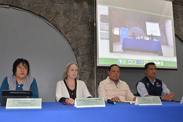 Gabriela Sánchez Viveros, Citlalli López Binnqüist, Román Díaz Valenzuela y Christopher González Vaca, en el evento convocado por la UV 