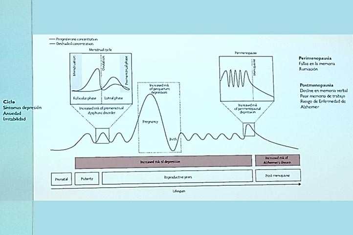 Cambios hormonales a lo largo de la vida y su impacto en la salud mental 