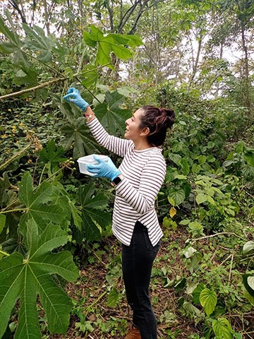 La bióloga realiza una estancia posdoctoral en el Inbioteca 