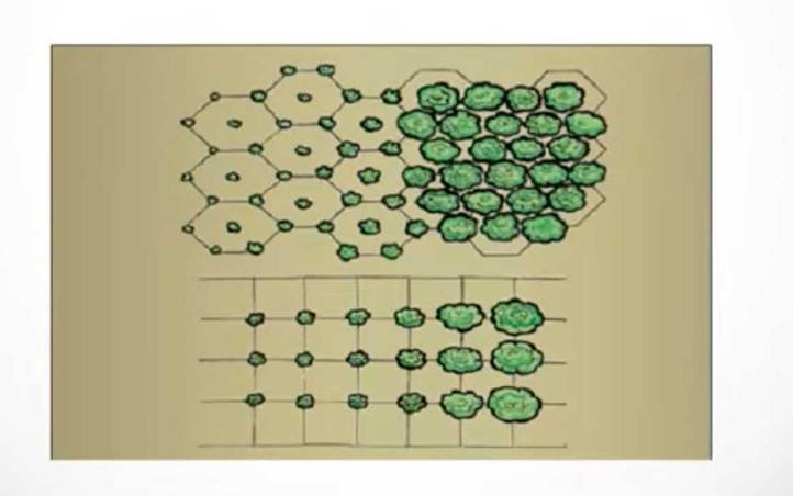 La siembra cercana significa que las plantas deben estar a una distancia menor a la que recomiendan la agricultura comercial y tradicional 
