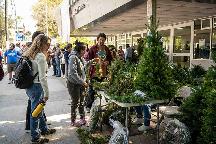 Como cada diciembre, desde hace 19 años, mujeres de El Conejo trajeron coronas y árboles navideños para venta en la zona universitaria, los días 3 y 4 de diciembre