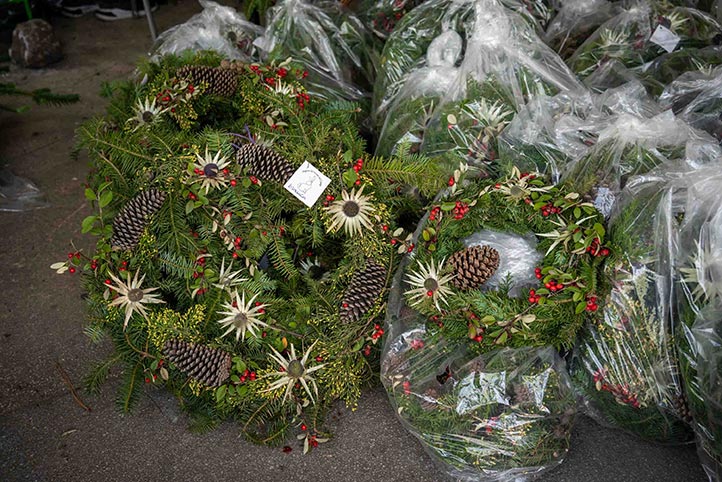 Venta de árboles y coronas navideñas 2: Coronas navideñas elaboradas con ramas resultantes de la poda apoyan el ingreso familiar