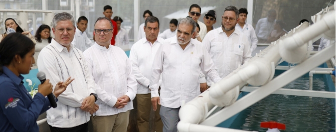 Gobernanza universitaria