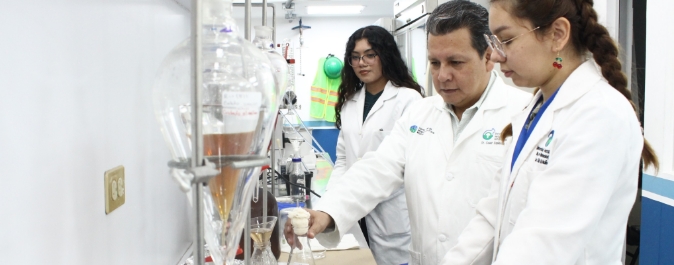 Investigación y posgrado