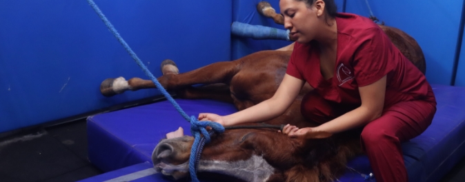 Vinculación y extensión universitaria