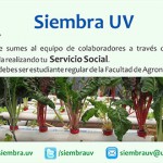 Imagen Siembra UV solicita prestador de Servicio Social