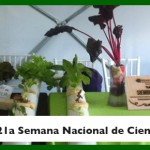 Imagen Siembra UV presenta stand de Hidroponia en la Semana Nacional de Ciencia y Tecnología en Veracruz 2014