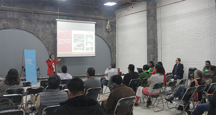 Descripción de la imagen