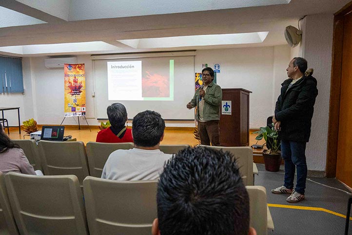 Descripción de la imagen