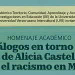 Imagen La obra de Alicia Castellanos ante el racismo en México