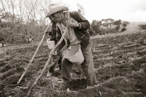 PARA DANA 19 10978696_858875477506536_6223802012338990840_n