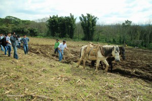 PARA DANA 6 10929192_858875894173161_5120537050376717013_n