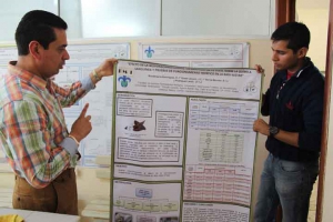 La línea de investigación inició en 2010