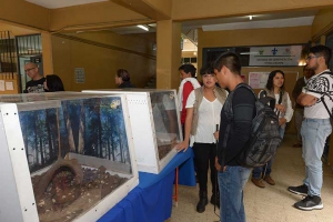Expusieron ejemplares que alberga el herpetario de Biología