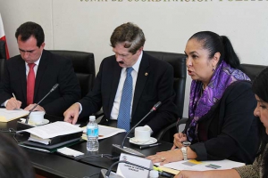 La Rectora dialogó con las comisiones de Educación y de Hacienda y Crédito Público