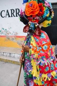 Imagen integrante de la muestra