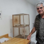 Francisco Díaz Fleischer