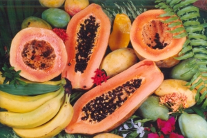 La Primera Exhibición de Refrigerios Saludables contempla distintas categorías