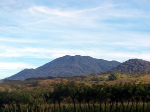 Universo-634-Rujiro-Temis-018