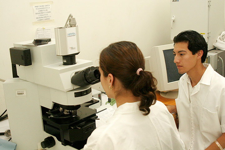 En el laboratorio, las actividades son planteadas por los estudiantes