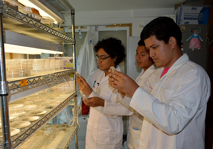 Conocieron los elementos teóricos para comprender el proceso de investigación