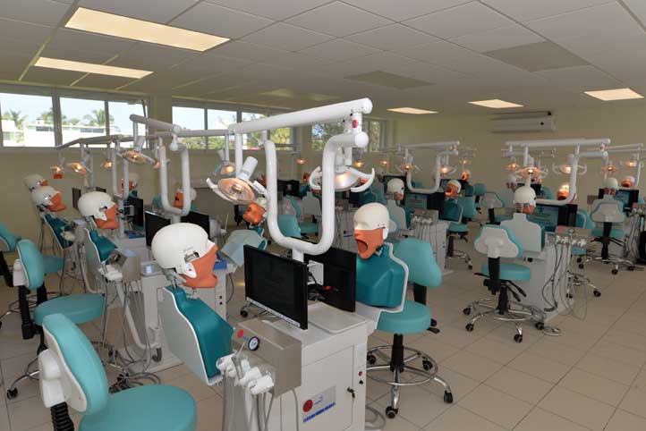 Están equipados con una unidad dental cuyo dorso simula al paciente