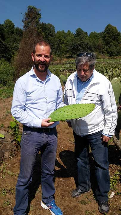 Kevin Whelan visitó la empresa que fabricará el polvo de nopal