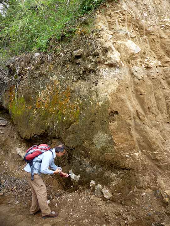 Investigadores analizaron perfiles de suelo