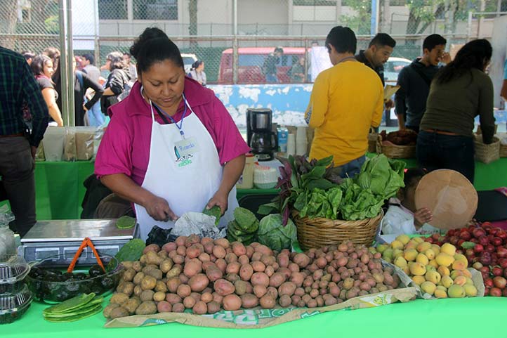 Ricarda Barrera Sánchez participa en el Tianguis Agroecológico Universitario