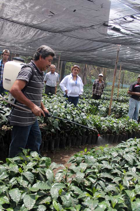 Han producido abonos orgánicos