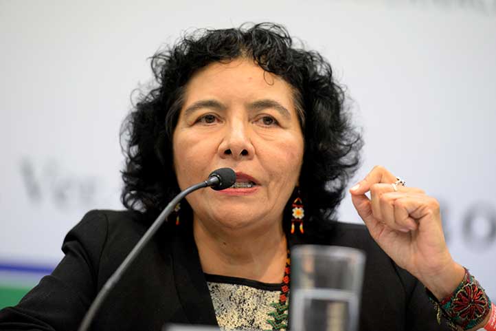 Lourdes Pacheco Ladrón de Guevara, coordinadora de la Renies