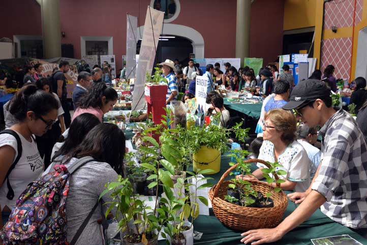 Los resultados se presentaron en ExpoSustenta 2017