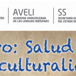 Imagen Foro: Salud e Interculturalidad