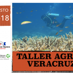 Imagen Taller AGRRA Veracruz