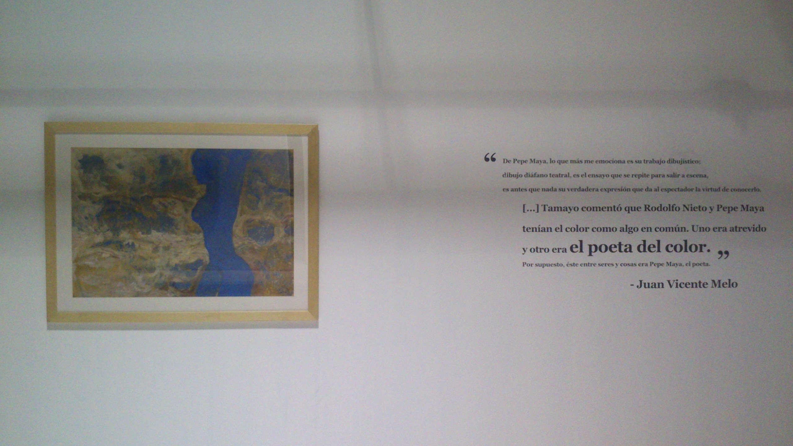 Exposicion-29-enero-31