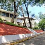 Imagen Licenciatura en Medicina Veterinaria y Zootecnia (Plan 2023)